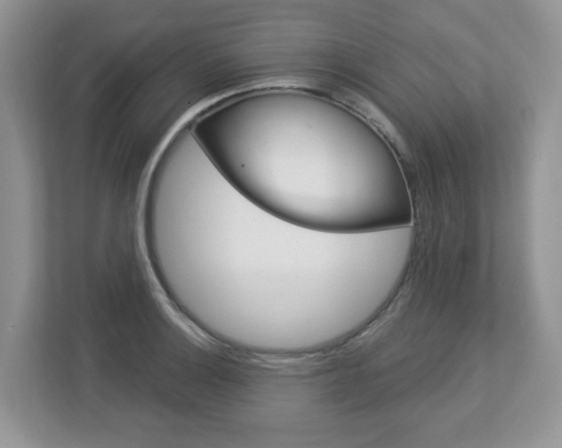 X0000112841132200908210953