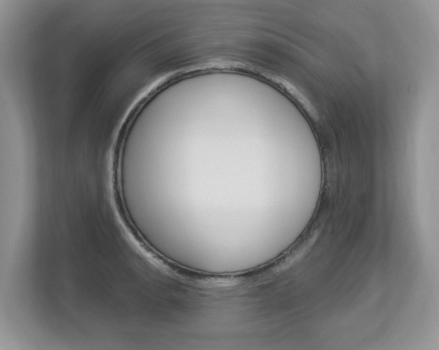 X0000112841134200908210953