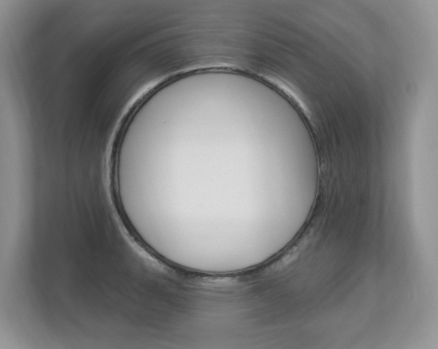 X0000112841135200908210953