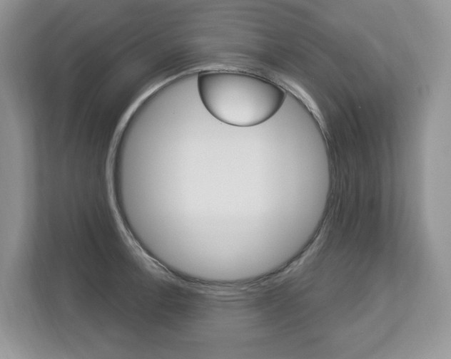 X0000112841138200908210953