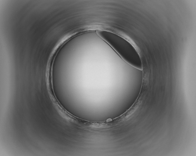 X0000112841146200908210953