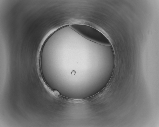 X0000112841152200908210954