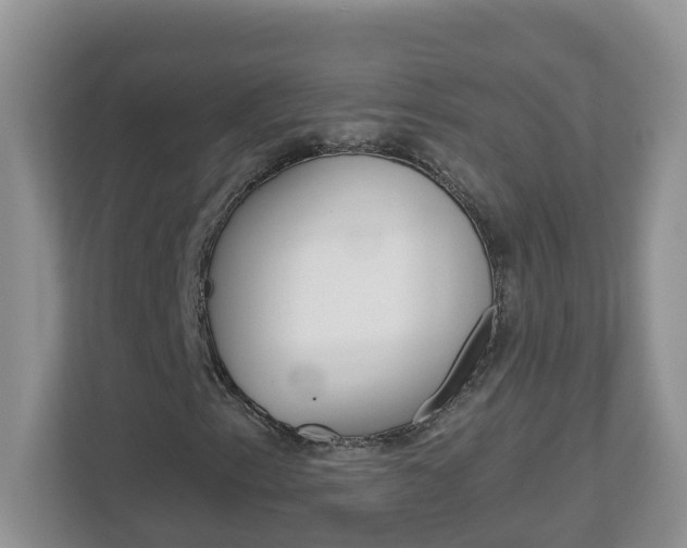 X0000112841153200908210953