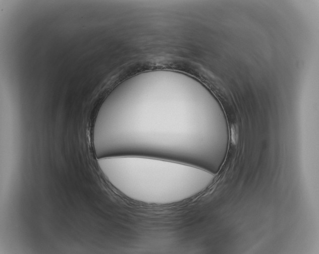 X0000112841155200908210953