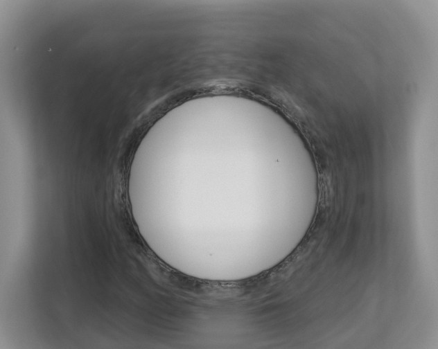 X0000112841158200908210953