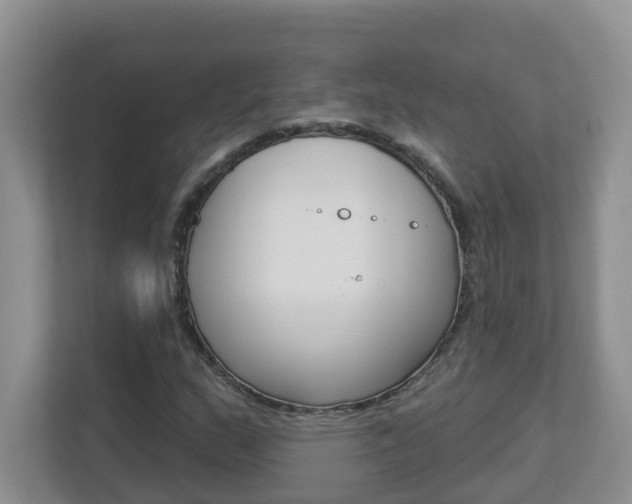 X0000112841159200908210953