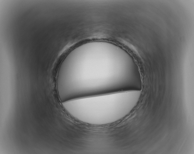 X0000112841160200908210953