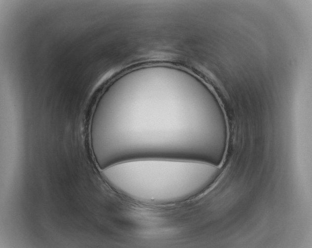 X0000112841163200908210953