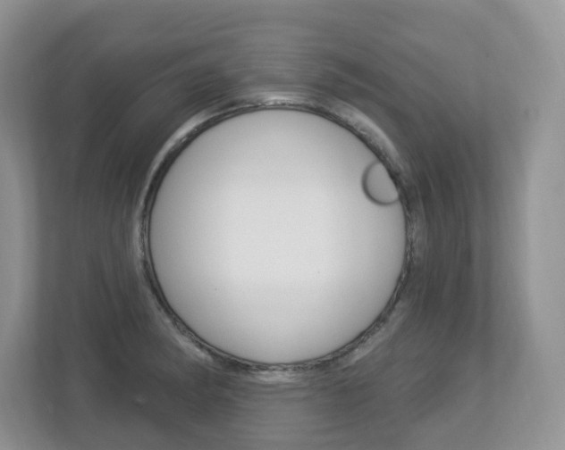 X0000112841182200908210953