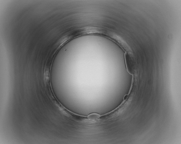X0000112841185200908210952