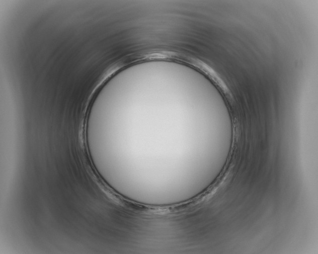 X0000112841186200908210952