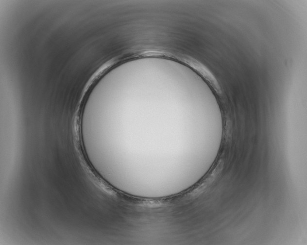 X0000112841190200908210952