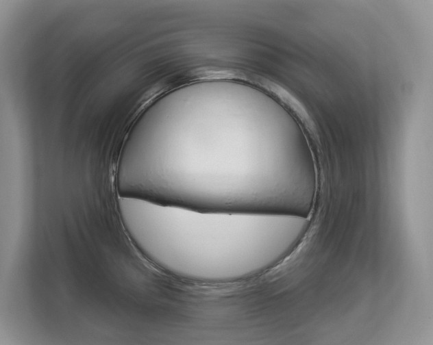 X0000112841193200908210952