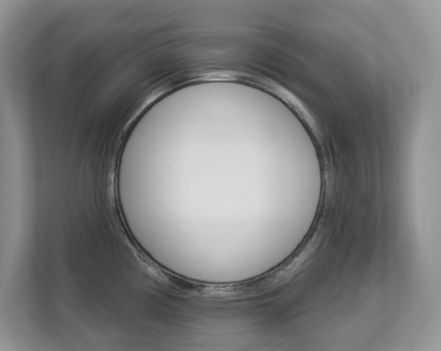X0000112841194200908210952