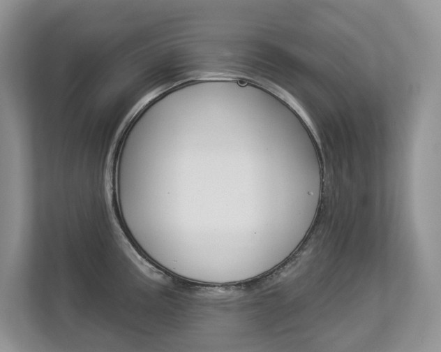 X0000112841195200908210952