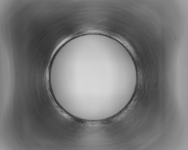 X0000112841198200908210952