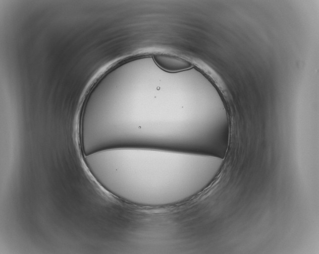 X0000112841199200908210952