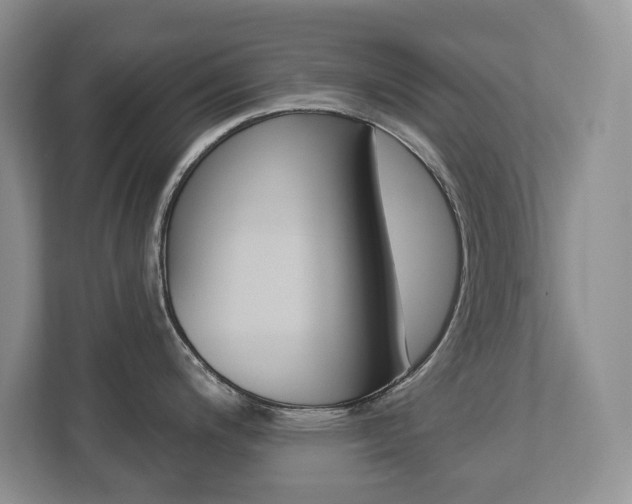 X0000112841200200908210952