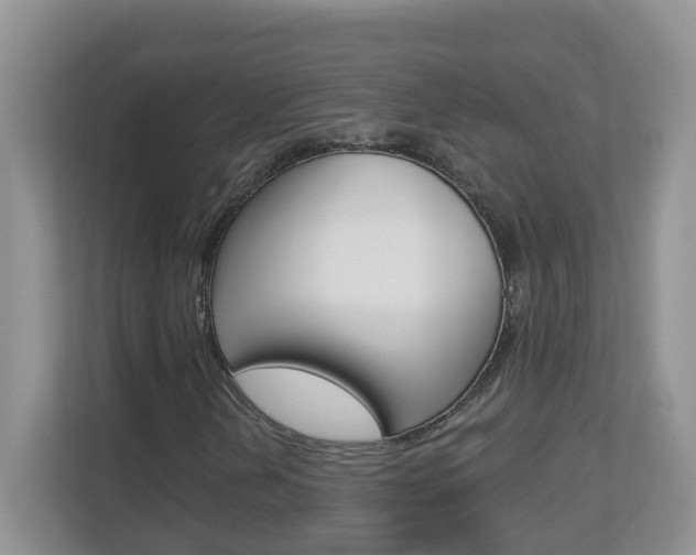 X0000112841202200908210952
