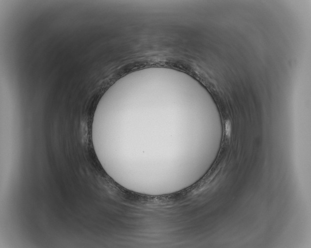 X0000112841203200908210952