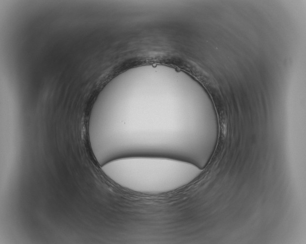 X0000112841204200908210952
