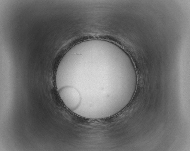 X0000112841205200908210952