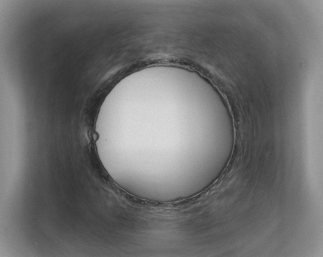 X0000112841206200908210952