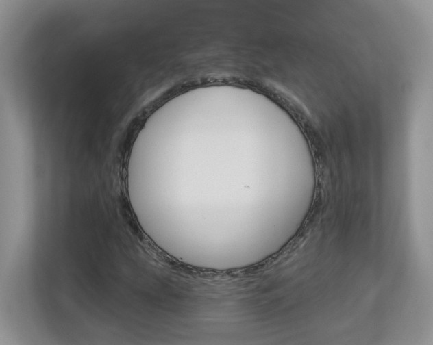 X0000112841207200908210952