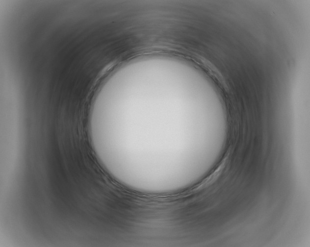 X0000112841210200908210952