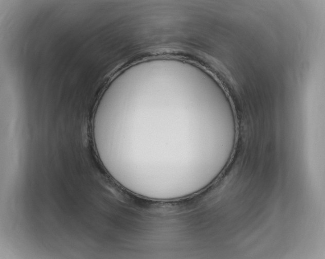 X0000112841217200908210952