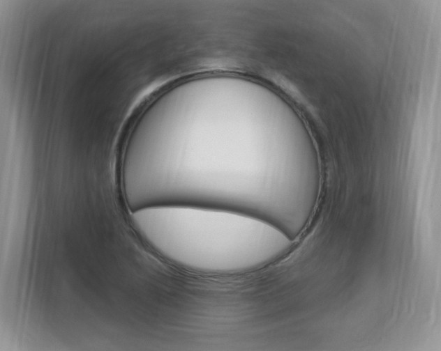 X0000112841222200908210952