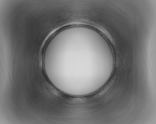 X0000112841224200908210952