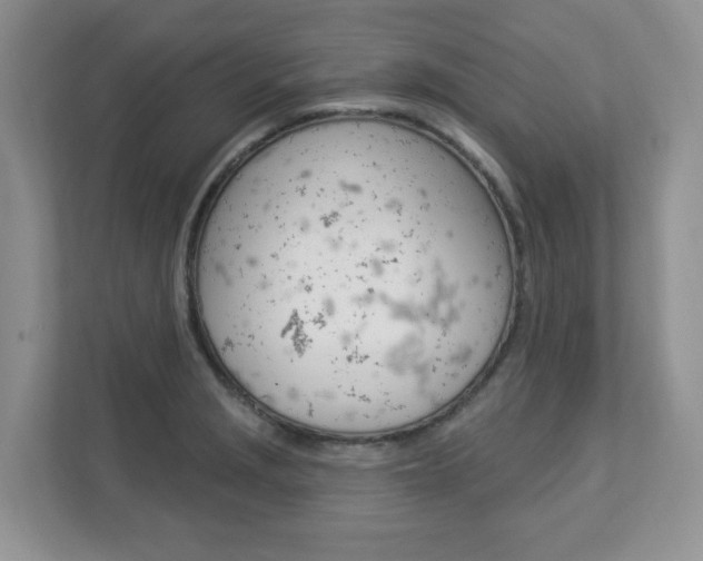 X0000112841229200908210952