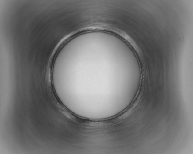 X0000112841232200908210952
