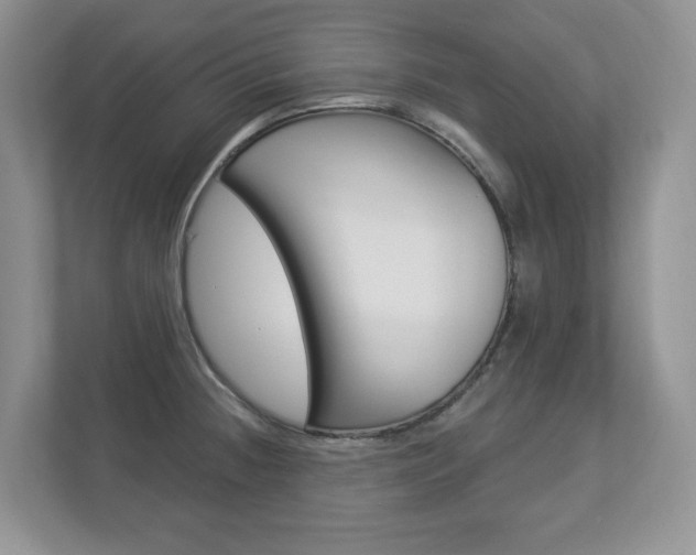 X0000112841236200908210952