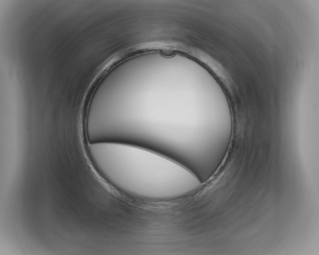 X0000112841237200908210952