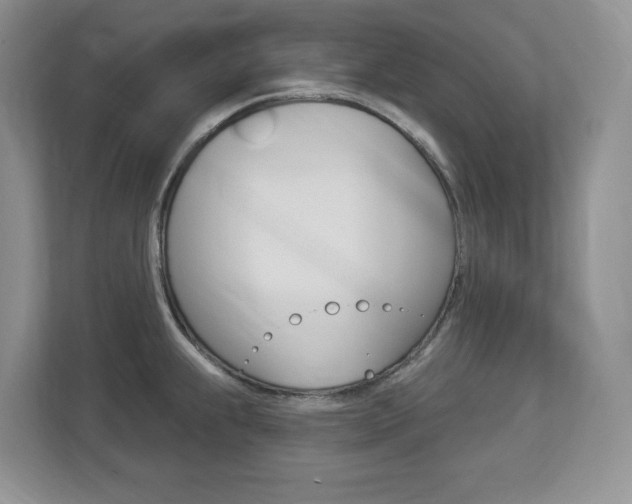 X0000112841239200908210952