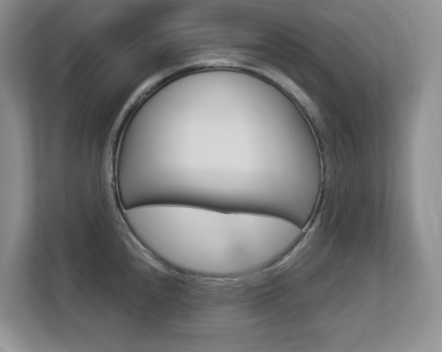 X0000112841240200908210952