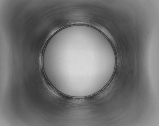 X0000112841242200908210952