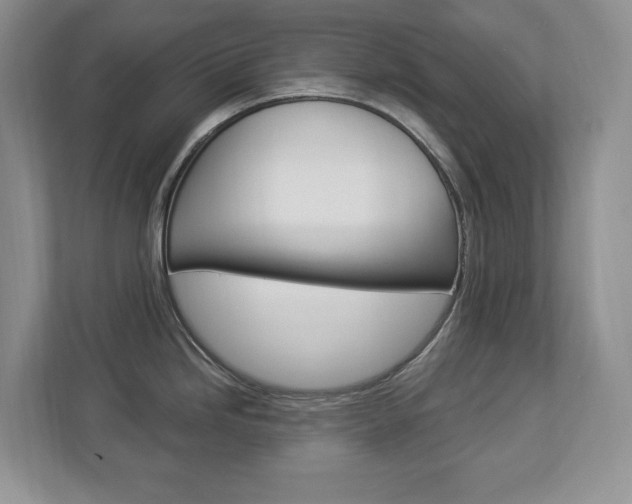 X0000112841246200908210952