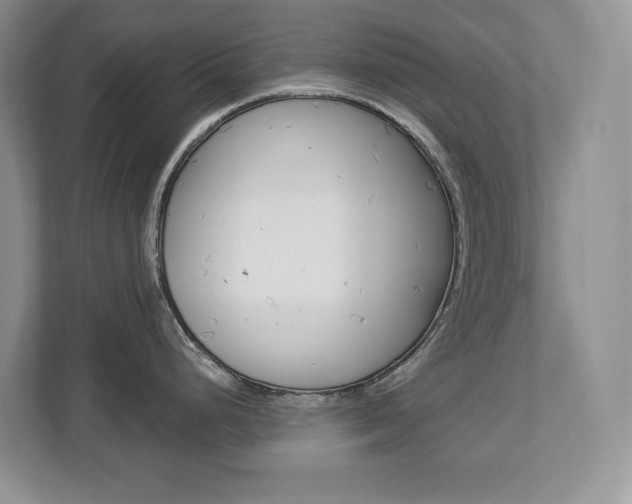 X0000112841248200908210952