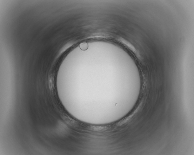 X0000112841258200908210952