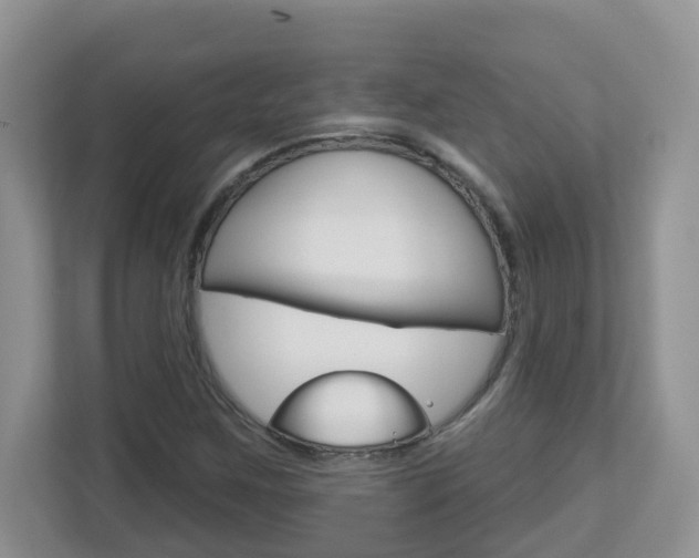 X0000112841259200908210952