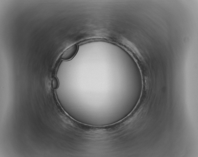 X0000112841260200908210952