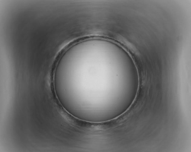 X0000112841264200908210951