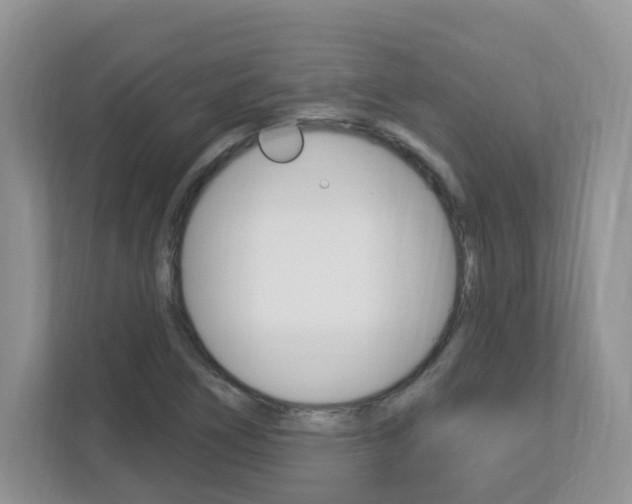 X0000112841266200908210951
