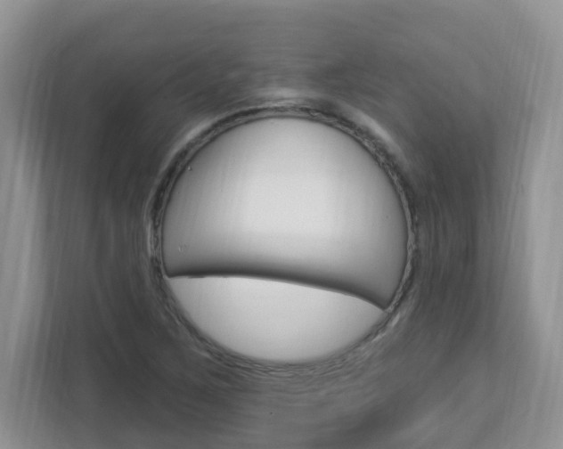 X0000112841267200908210951