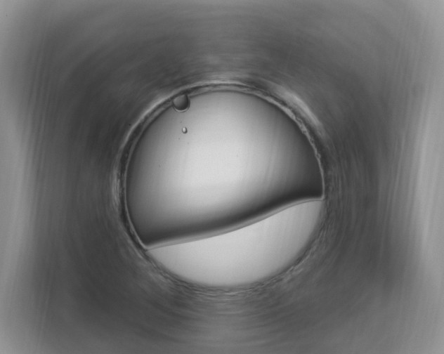 X0000112841268200908210951