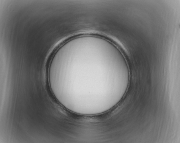 X0000112841270200908210951