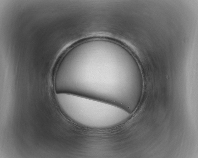 X0000112841271200908210951